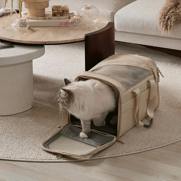 CHECK-IN Transporttasche in Sand, Ragdoll-Katze steigt heraus, gemütliches Wohnzimmer