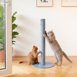 Due gatti che giocano alla colonna tiragraffi PAPERPOLE in blu – atmosfera accogliente con pavimento in parquet.
