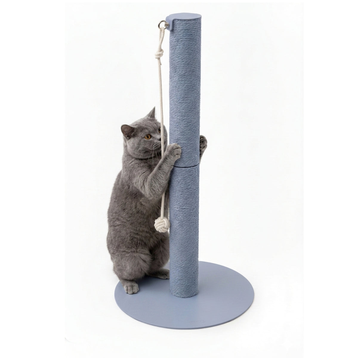 Gatto che gioca con la pallina alla colonna tiragraffi PAPERPOLE in blu – design compatto e autoportante.