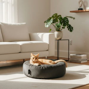 NEST Katzenbett in Anthrazit, rote Katze liegt entspannt darin im hellen Wohnzimmer