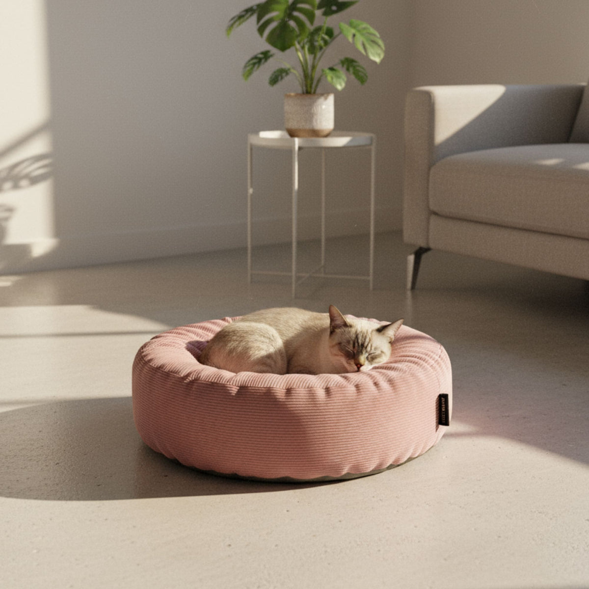 NEST Katzenbett in Rosa, Katze schläft zusammengerollt darin im sonnendurchfluteten Raum