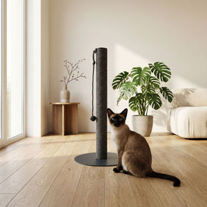 Gatto Siamese seduto accanto alla colonna tiragraffi PAPERPOLE in antracite – salotto moderno e luminoso con Monstera.