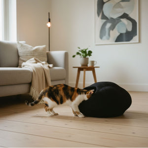 PEBBLE cuccia di feltro per gatti