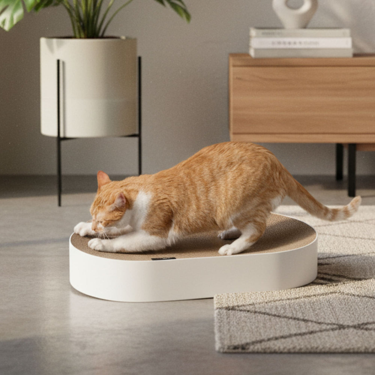 SCRATCHBED Kratzbett in Weiß, rot-weiße Katze beim Kratzen im gemütlichen Wohnzimmer