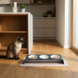 Tappetino sottociotola SQUARE XL in lilla, gatto Siamese seduto accanto alla stazione pasti tripla piena in cucina