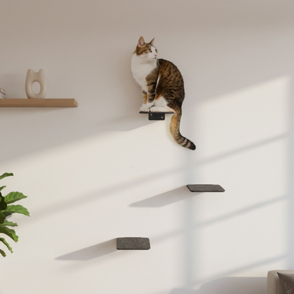 Escalier pour chat STEPS XL en anthracite : un chat grimpe les marches murales sombres, salon ensoleillé avec étagère en bois et plante verte