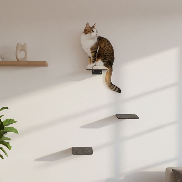 STEPS XL Katzentreppe in Anthrazit: Katze klettert die dunklen Wandstufen hoch, sonniges Wohnzimmer mit Holzregal und Zimmerpflanze
