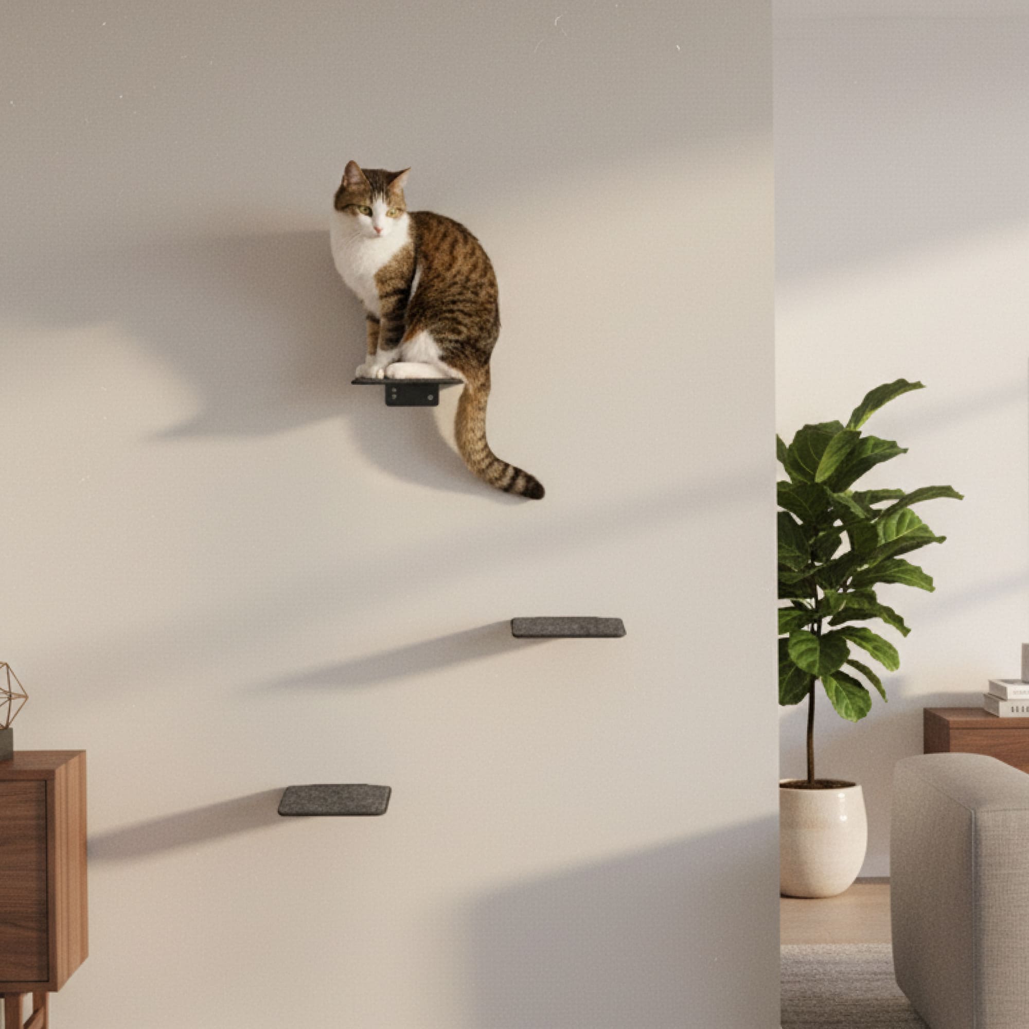 STEPS Katzentreppe in Anthrazit: Katze sitzt auf der obersten Wandstufe – Wohnzimmer mit Sideboard und Zimmerpflanze