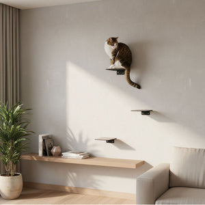 Escalier pour chat STEPS XL : un chat tigré assis sur la marche murale la plus haute – pièce lumineuse avec rideau et étagère