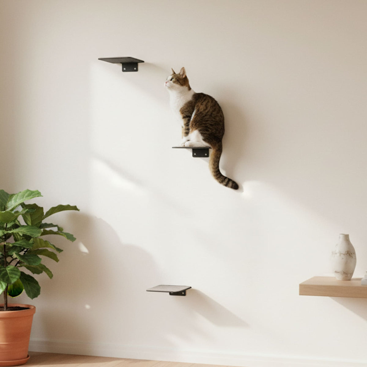Escalier pour chat STEPS : un chat tigré assis sur une marche murale, regardant vers le haut