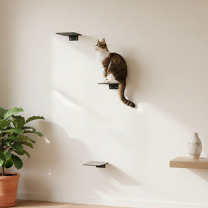 Escalier pour chat STEPS : un chat tigré assis sur une marche murale, regardant vers le haut