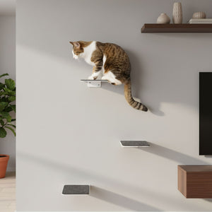 Escalier pour chat STEPS XL en blanc avec coussinet en feutre anthracite : un chat en équilibre sur la marche murale la plus haute