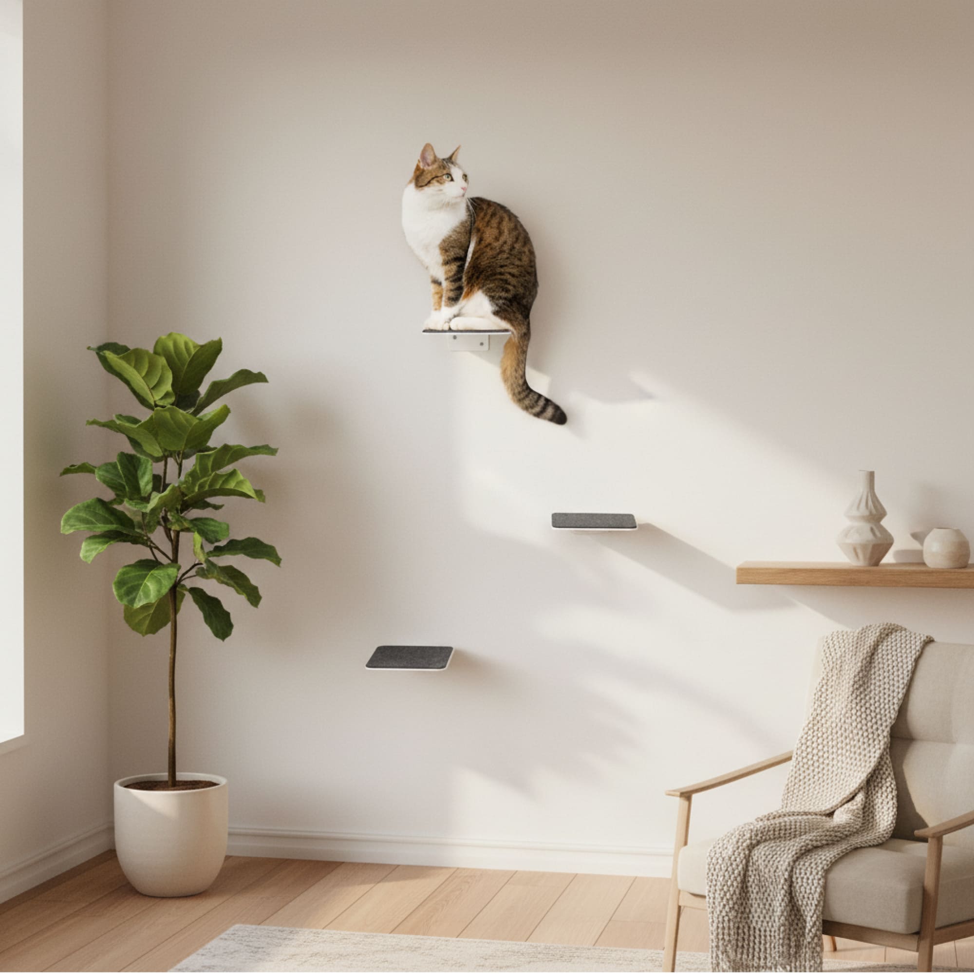 STEPS Katzentreppe in Weiß mit Filzauflage in Anthrazit – gemütliches Wohnzimmer mit Sessel und Zimmerpflanze