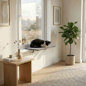 Schwarz-weiße Katze liegt auf der VIEW Fensterbankliege in Anthrazit – helles, modernes Wohnzimmer.
