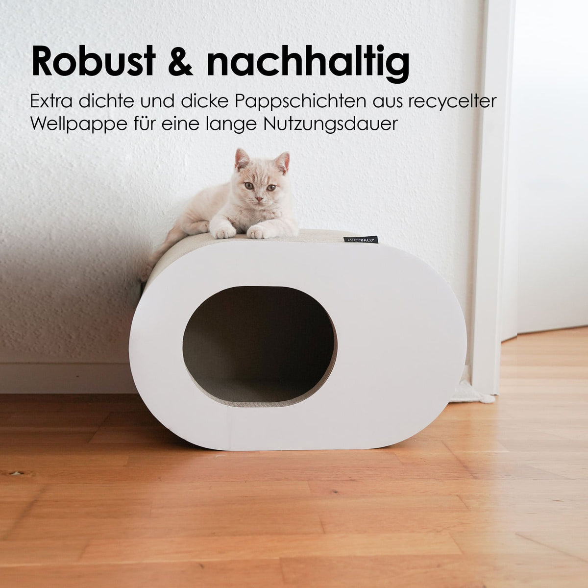 PAPERCAVE Katzenhöhle: Robust und nachhaltig aus recycelter Wellpappe, Kätzchen liegt entspannt obenauf