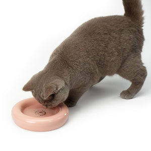 Katze frisst aus rosé DROP Katzennapf - Hello Kitty Edition