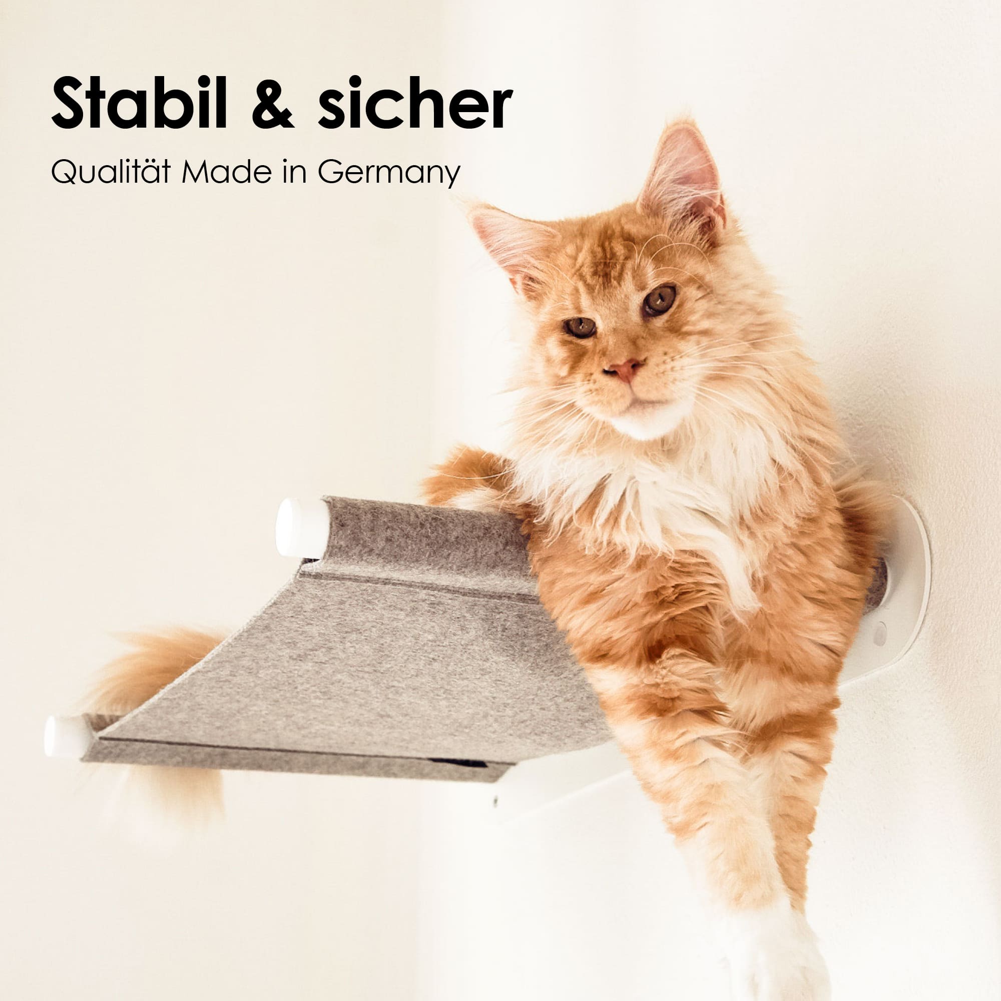 Große orangefarbene Katze liegt seitlich auf der SWING Wandhängematte mit weißen Wandhaltern – stabil & sicher, Made in Germany.