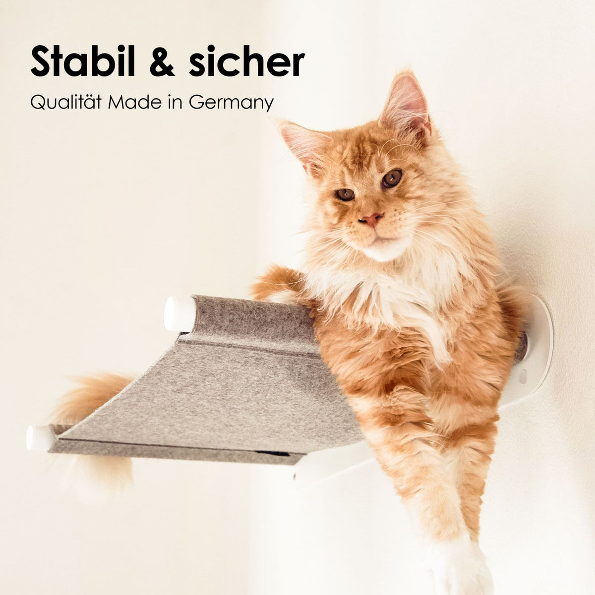 Grande gatto arancione sdraiato di lato sull'amaca da parete SWING con supporti bianchi – stabile e sicura, made in Germany.