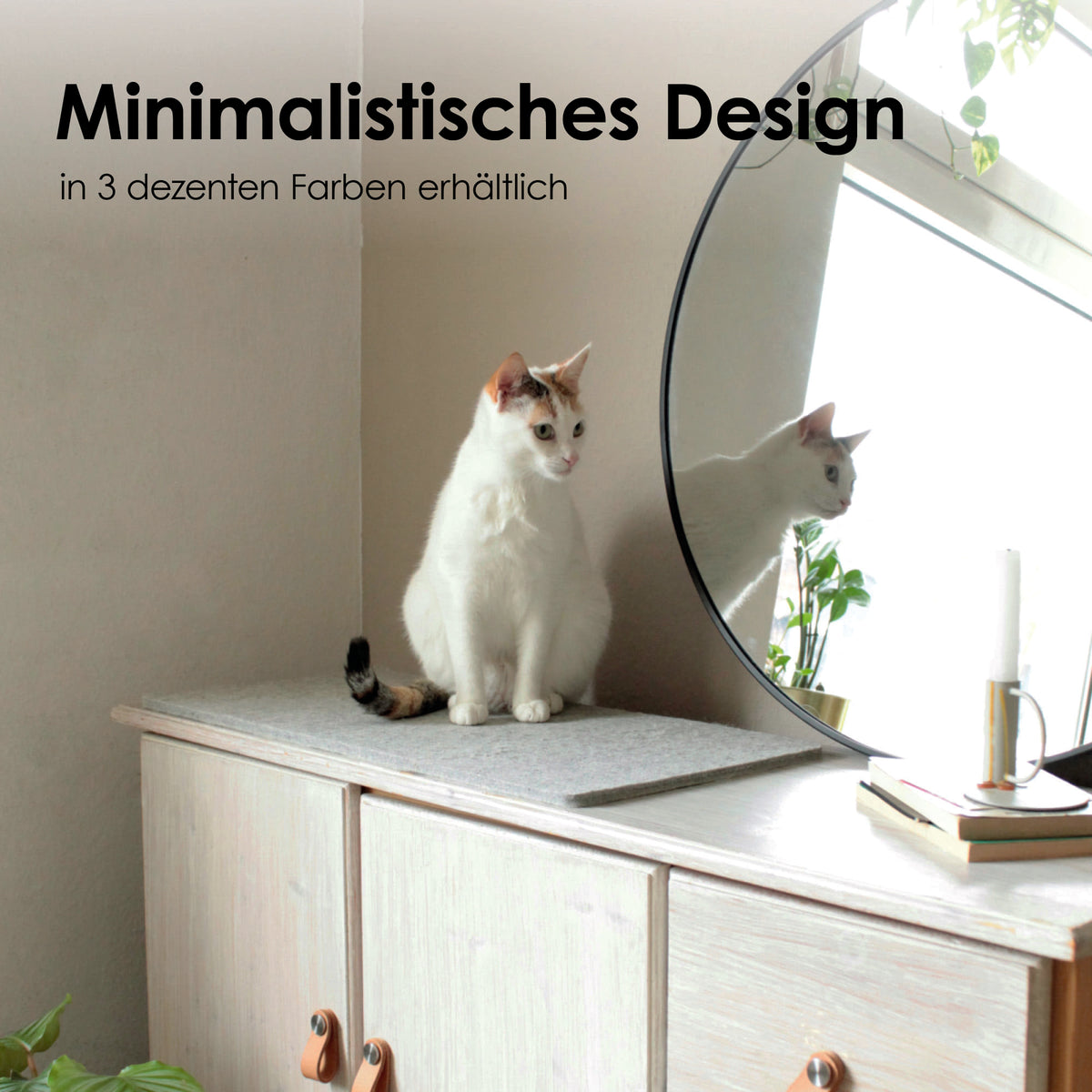 Weiße Katze sitzt auf grauer FELTY Filzauflage vor einem Spiegel – minimalistisches Design in 3 Farben