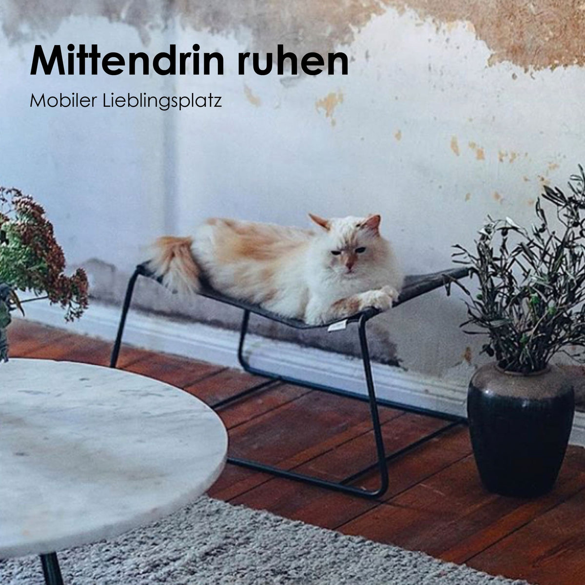 Katze liegt auf der schwarzen FLOAT Hängematte auf einer Terrasse – mobiler Lieblingsplatz