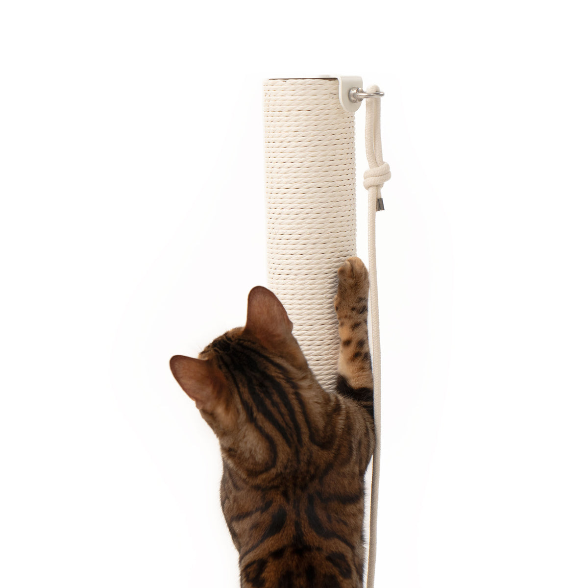 Colonna tiragraffi PAPERPOLE in bianco – vista dettagliata, gatto che si aggrappa alla corda di carta.