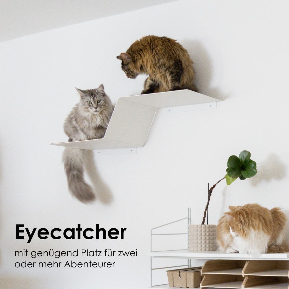 Moderne Katzenstufe für die Wand