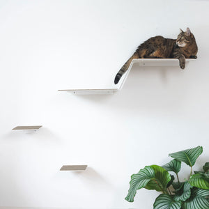 Gradino per gatti WAVE XXL in bianco, gatto tigrato sdraiato rilassato sul gradino più alto, parete moderna per gatti con pianta da interno
