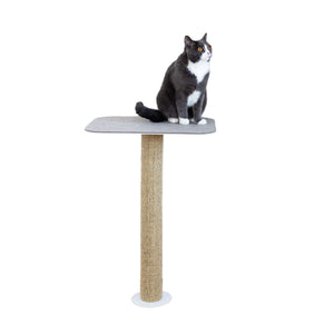 Katze sitzt auf GALLERY Wandkratzbaum, Freisteller