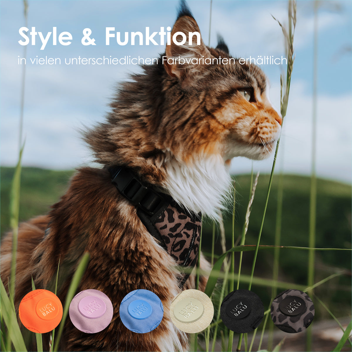 Pettorina per gatti EXPLORER: stile e funzionalità, disponibile in molte varianti di colore, un gatto Maine Coon indossa la pettorina stampa leopardo nel prato