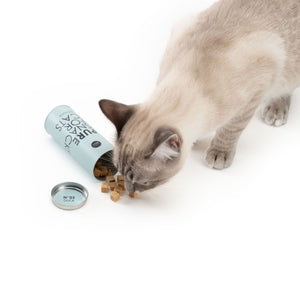 Katze frisst PURE Katzensnack Ente aus geöffneter Dose