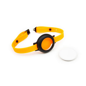 NEMO AirTag Halsband in Neon Orange mit LucyBalu Prägung und AirTag