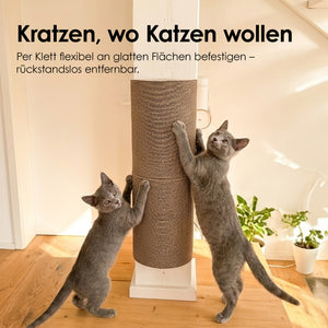 Zwei Kitten kratzen am per Klett befestigten Kratzelement der PLAYGROUND Kratzwelt an einer Säule