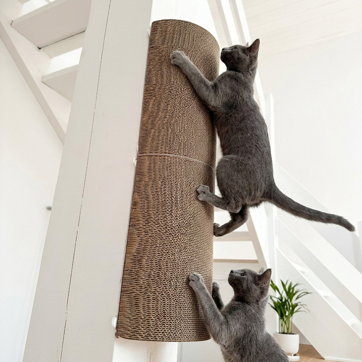 Zwei Kitten kratzen am modularen Kratzelement der PLAYGROUND Kratzwelt an einer Treppe