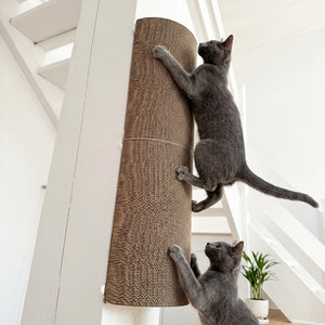 Zwei Kitten kratzen am modularen Kratzelement der PLAYGROUND Kratzwelt an einer Treppe