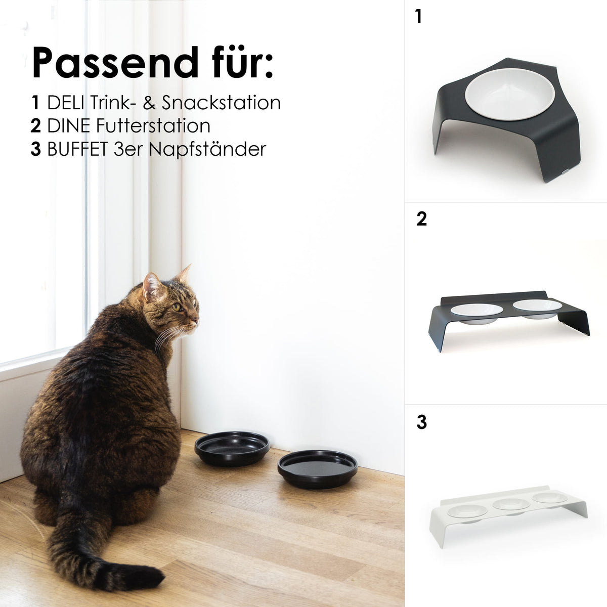 Bol en porcelaine BOWL en noir avec un chat – assortis : stations de repas DELI, DINE et BUFFET.
