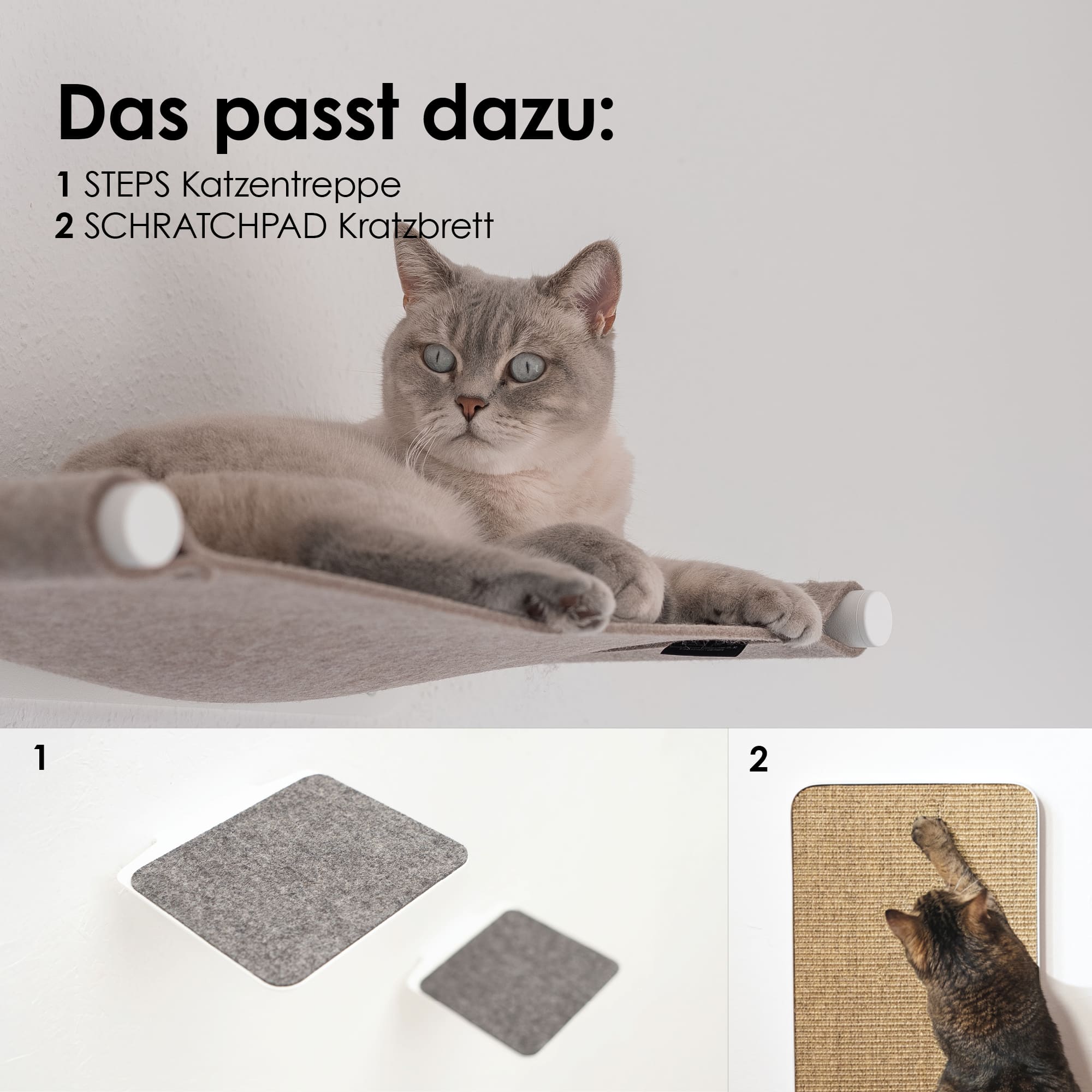 Graue Katze liegt auf der Hängematte SWING mit weißen Wandhaltern – darunter passende Ergänzung STEPS Kletterelemente und SCRATCHPAD Kratzbrett.