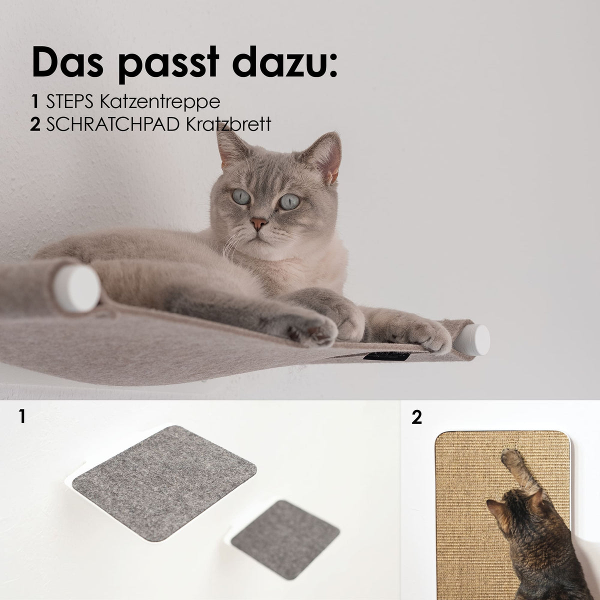 Gatto grigio sdraiato sull'amaca SWING con supporti bianchi – sotto, gli elementi abbinati STEPS per arrampicarsi e la tavola da grattare SCRATCHPAD.
