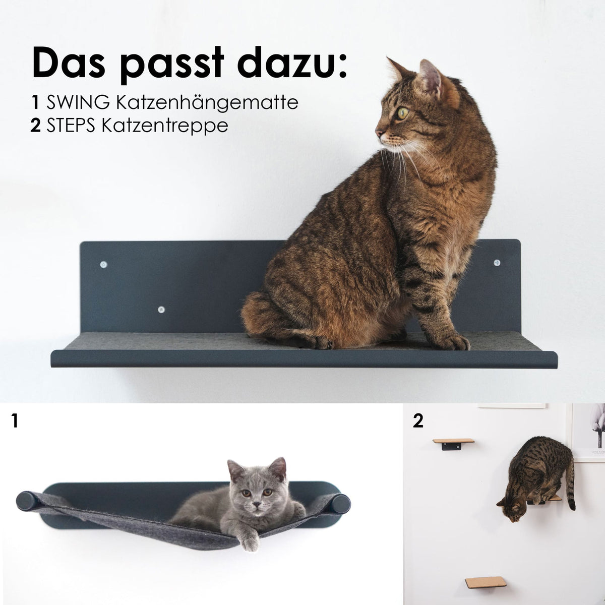 Mensola a parete STRAIGHT in antracite con gatto – abbinati: amaca per gatti SWING e scaletta per gatti STEPS.