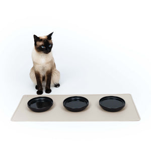Un chat siamois à côté de trois bols en porcelaine BOWL en noir sur un tapis.