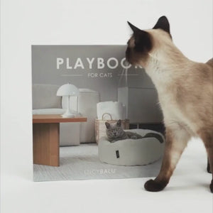 PLAYBOOK Interaktives Spielzeug