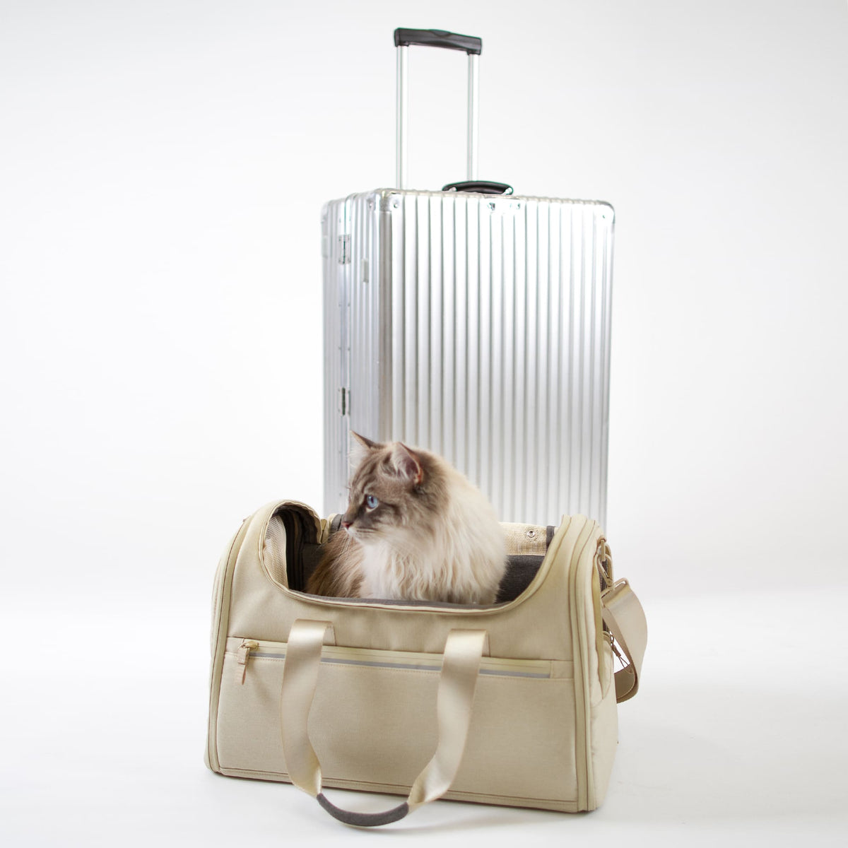 Sac de transport CHECK-IN en sable devant une valise Rimowa, un chat Ragdoll assis dedans