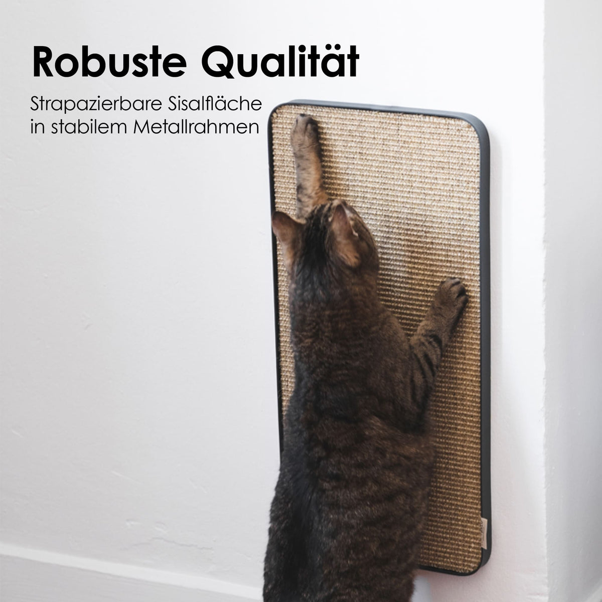 Planche à griffer robuste pour chats