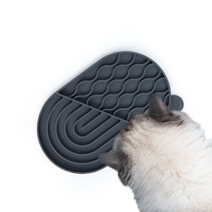 Tappetino leccalecca ZENPAD in antracite, gatto Ragdoll che lecca con gusto