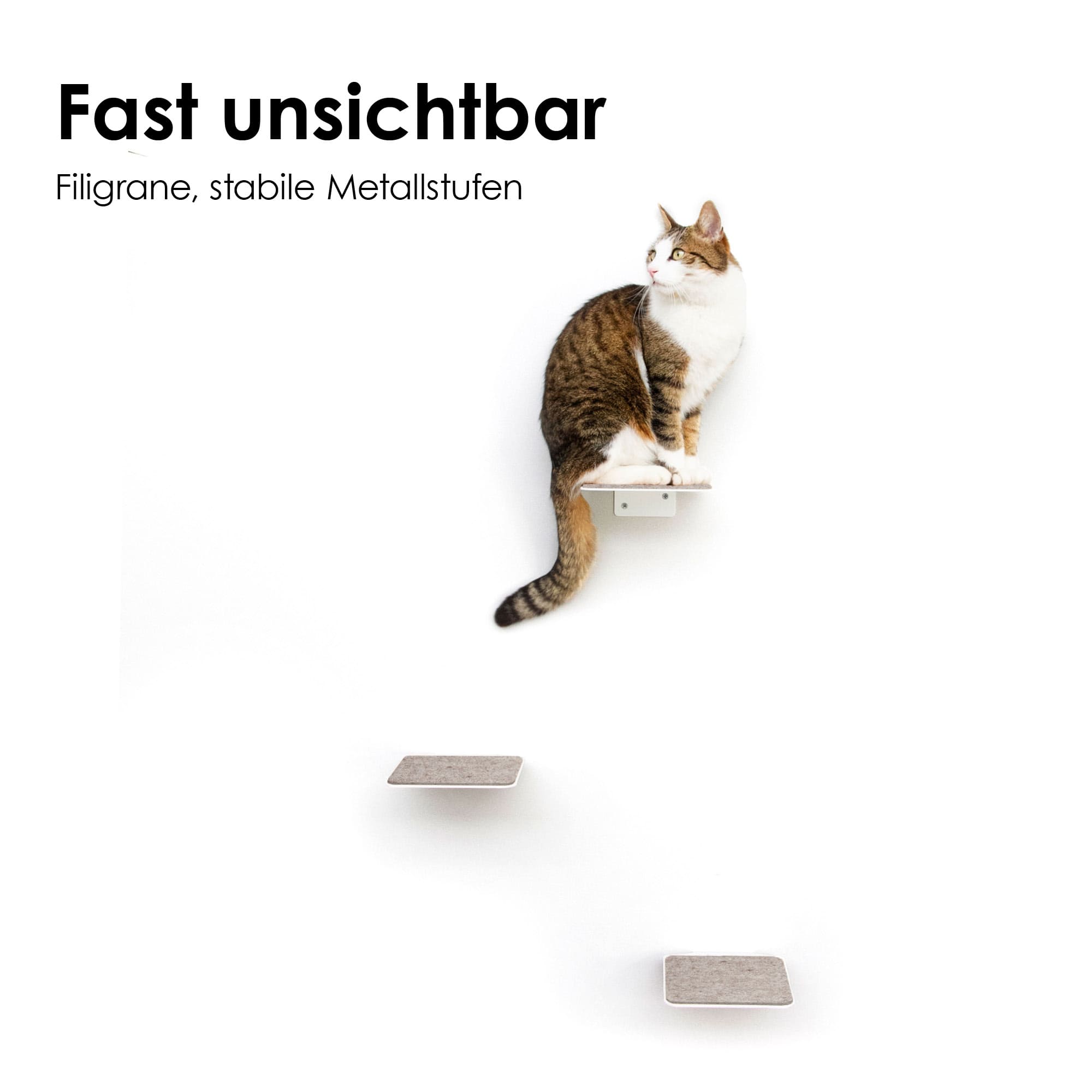 STEPS Katzentreppe in Weiß: filigrane, stabile Metallstufen – fast unsichtbar an der Wand
