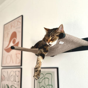 Gatto profondamente rilassato che dorme sull'amaca SWING grigio beige, una zampa penzola oltre il bordo.
