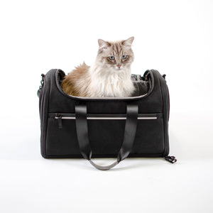 Sac de transport CHECK-IN en anthracite, un chat Ragdoll assis dedans, photo en studio
