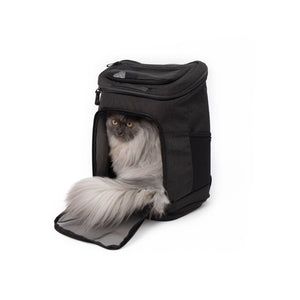 Sac à dos pour chat HOP-ON en anthracite, un chat gris à poil long regardant par l'ouverture, photo en studio