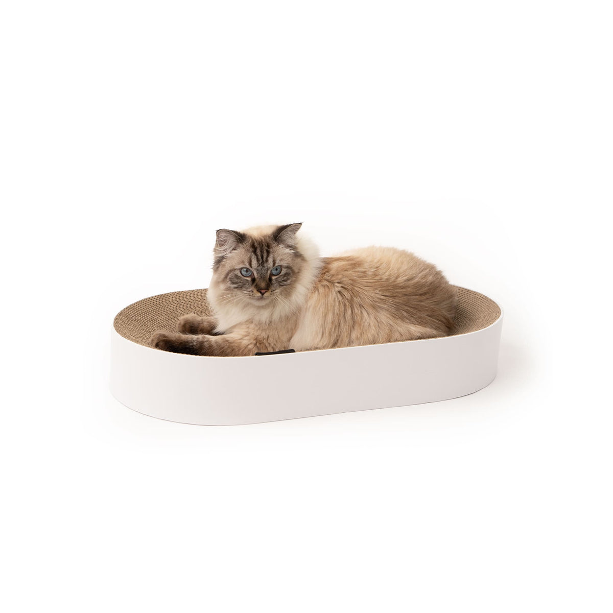 Lit à griffer SCRATCHBED en blanc avec carton à griffer, un chat Sacré de Birmanie roulé en boule regardant l'objectif