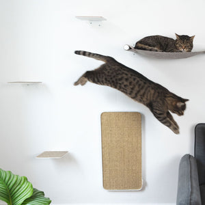 Katze springt an der weißen Katzenwand mit SWING Hängematte, STEPS Stufen und SCRATCHPAD Kratzbrett