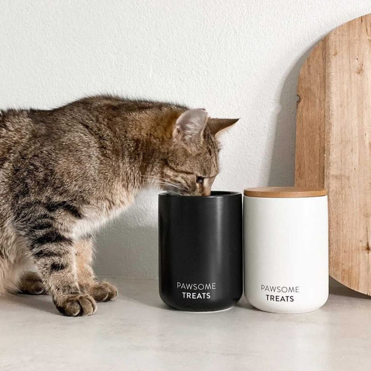 Gatto annusa i barattoli per snack SNACK BAR in antracite e bianco